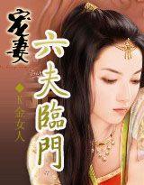 宠妻:六夫临门穿越之限量版娘子