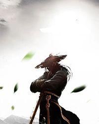 武法武天(苏月)