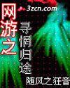 网游之寻惘归途