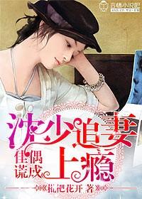 佳偶谎成，沈少追妻上瘾
