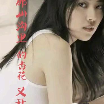 那山沟里的杏花又开了
