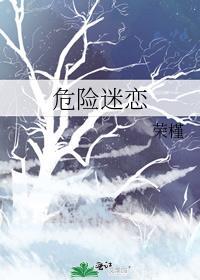 危险迷恋