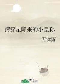 清穿星际来的小皇孙