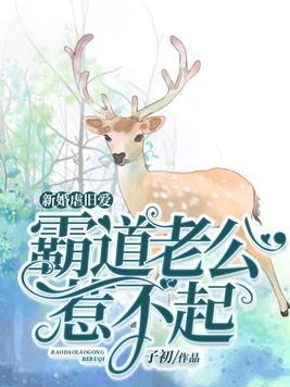 新婚虐旧爱:霸道老公惹不起