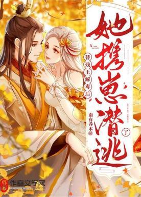 替残王解毒后，她携崽潜逃了